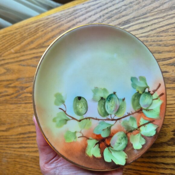 Hutchenreuther Selb Bavaria Handpainted Gold Trimmed Plate Cottagecore - Picture 4 of 13